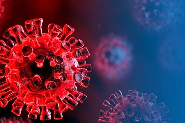 غربالگری سرطان‌های شایع مردان در مشهد به صورت رایگان انجام می‌شود 