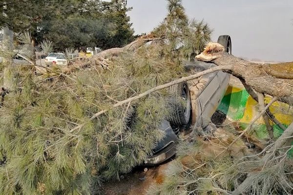 واژگونی خودروی سمند در طبرسی شمالی با دو نوجوان ۱۵ ساله؛ یک مصدوم به بیمارستان منتقل شد
