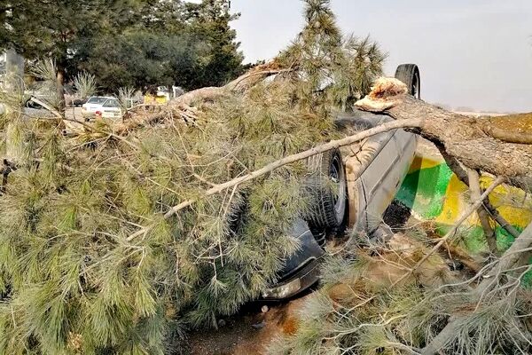 واژگونی خودروی سمند در طبرسی شمالی با دو نوجوان ۱۵ ساله؛ یک مصدوم به بیمارستان منتقل شد
