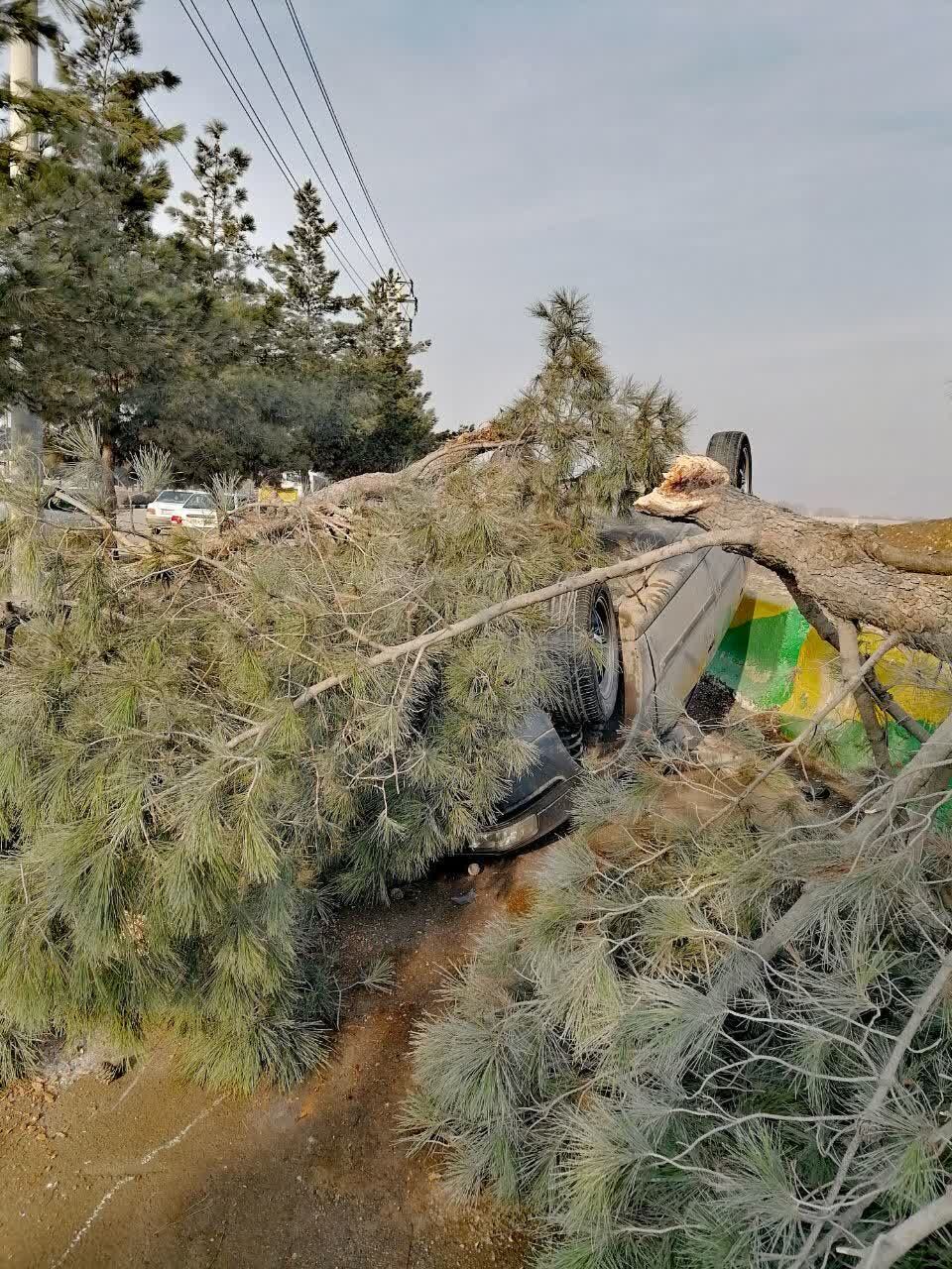 واژگونی خودروی سمند در طبرسی شمالی با دو نوجوان ۱۵ ساله؛ یک مصدوم به بیمارستان منتقل شد
