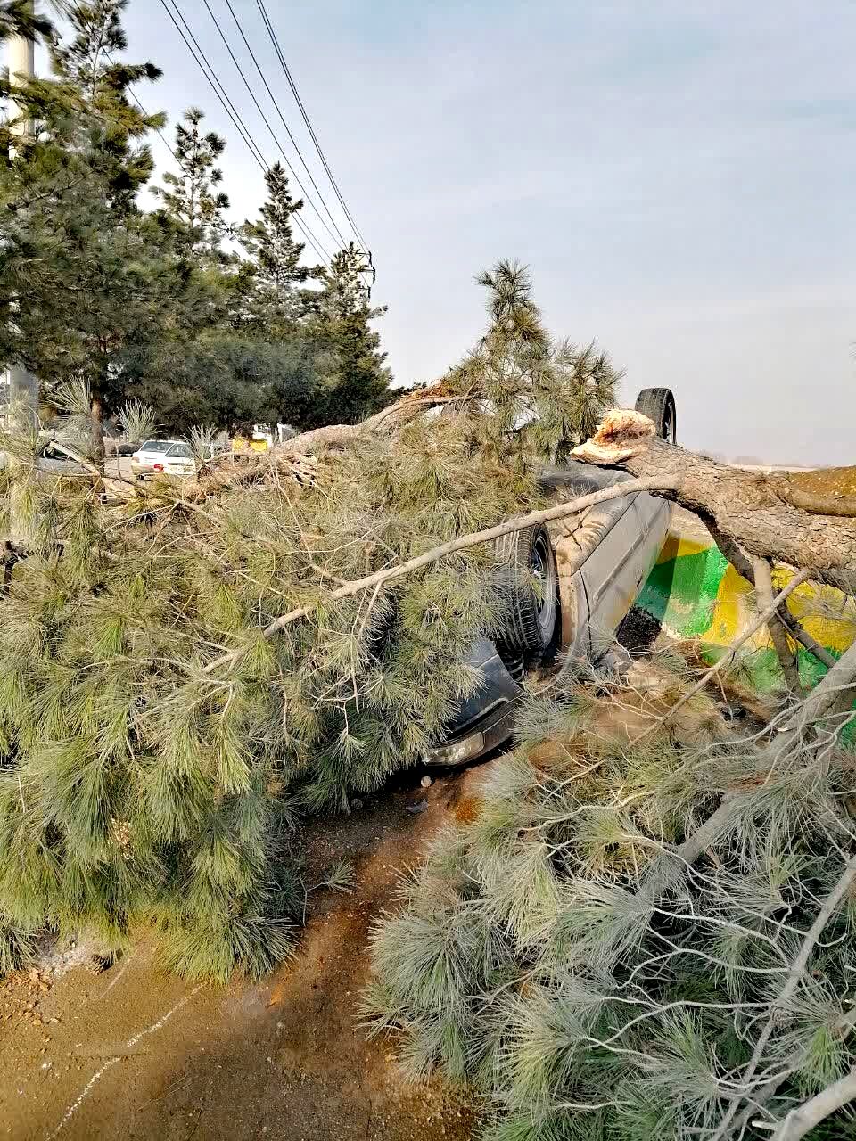 واژگونی خودروی سمند در طبرسی شمالی با دو نوجوان ۱۵ ساله؛ یک مصدوم به بیمارستان منتقل شد
