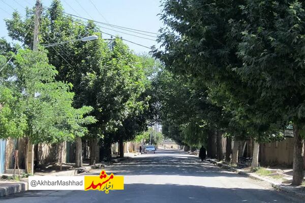 1637 نفر از روستاییان زبرخان، به فناوری های نوین ارتباطی مجهز شدند