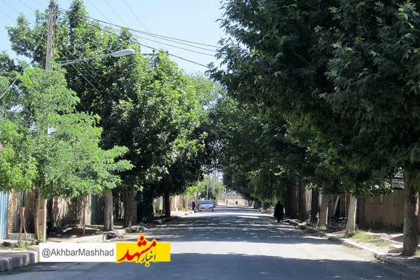 1637 نفر از روستاییان زبرخان، به فناوری های نوین ارتباطی مجهز شدند