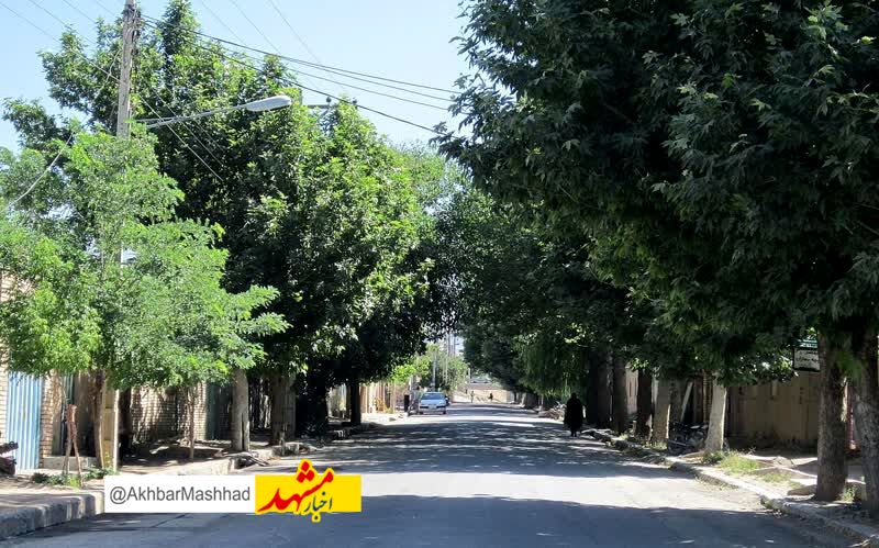 1637 نفر از روستاییان زبرخان، به فناوری های نوین ارتباطی مجهز شدند