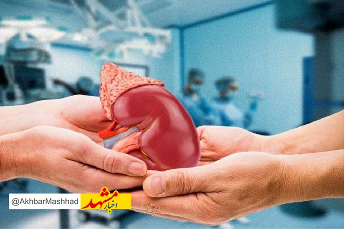 اعضای بیمار مرگ مغزی مشهدی به سه نفر اهدا شد