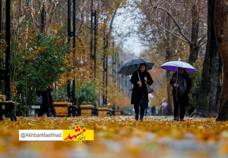 بارش‌های پراکنده نیمه جنوبی خراسان رضوی را فرا می‌گیرد