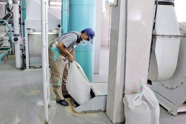 رئیس سازمان جهاد کشاورزی خراسان رضوی: بیش از ۴ هزار تن آرد مازاد بر سهمیه در استان توزیع شد