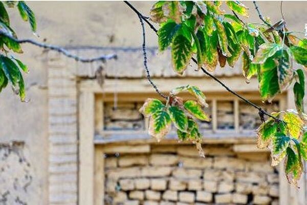 پیش‌بینی هواشناسی مشهد و خراسان رضوی