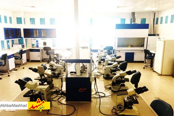 ۱۶ واحد فناور از خدمات مرکز رشد دانشگاه علوم پزشکی سبزوار بهره می‌برند