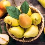 شناخت نهال گلابی اسپادانا