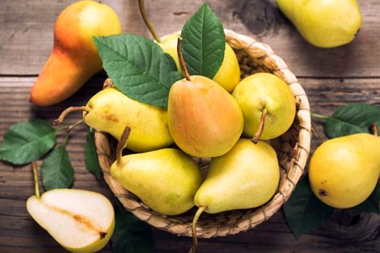 شناخت نهال گلابی اسپادانا