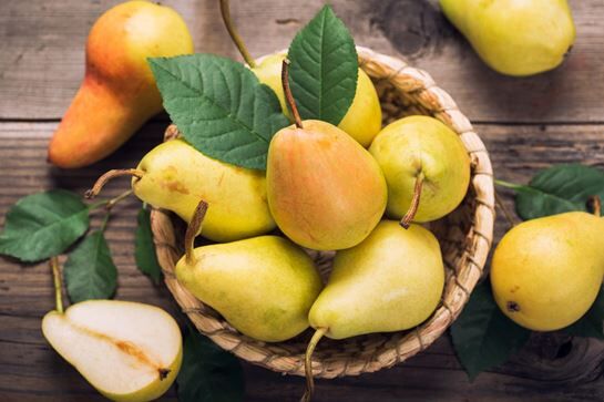 شناخت نهال گلابی اسپادانا