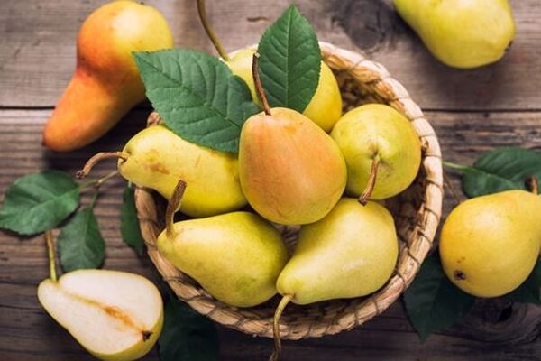 شناخت نهال گلابی اسپادانا