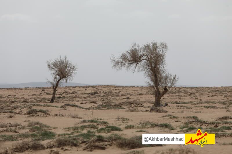  ایران پاییز خشکی پیش رو دارد
