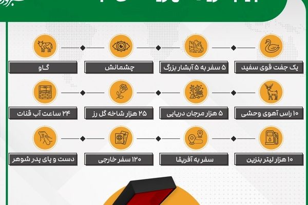 عجیب‌ترین مهریه هایی که ثبت شده است؛ از دست و پای پدرشوهر تا ۱۰ هزار لیتر بنزین