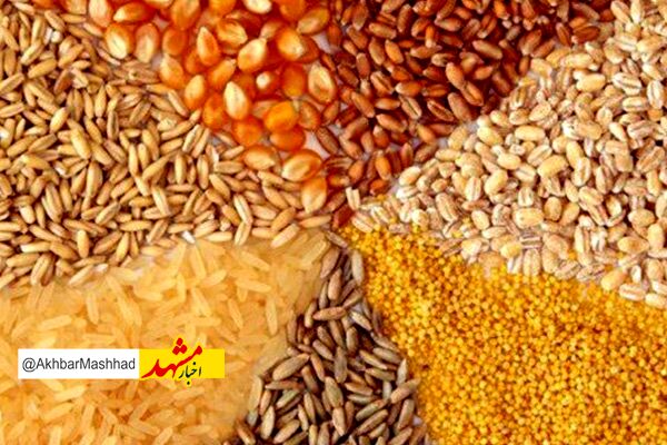 افزایش ۲برابری تامین و توزیع نهاده‌های دامی خراسان رضوی طی سال جاری