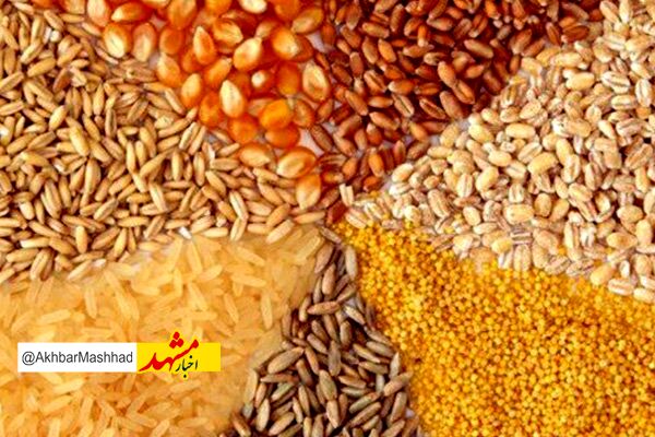 افزایش ۲برابری تامین و توزیع نهاده‌های دامی خراسان رضوی طی سال جاری