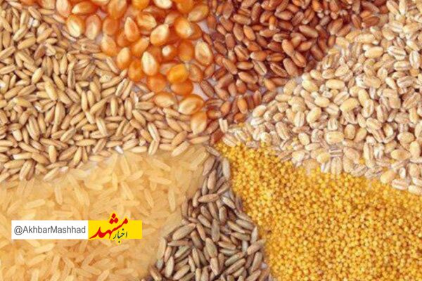 افزایش ۲برابری تامین و توزیع نهاده‌های دامی خراسان رضوی طی سال جاری