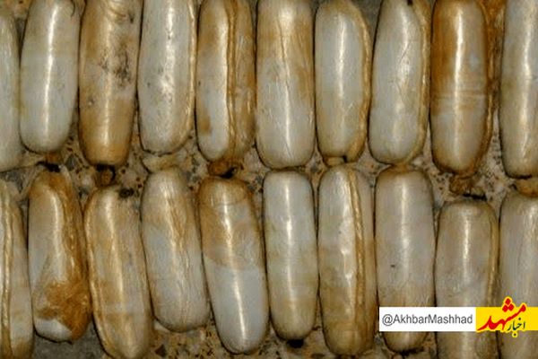 بلع تریاک، بازی با مرگ دربردسکن