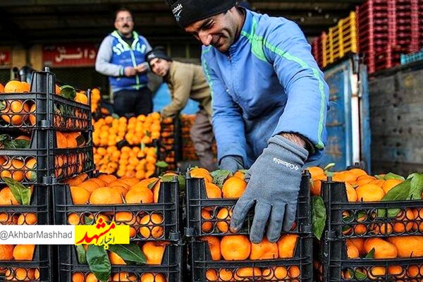 سهمیه میوه شب‌عید خراسان رضوی ۵۰۰ تن تعیین شد