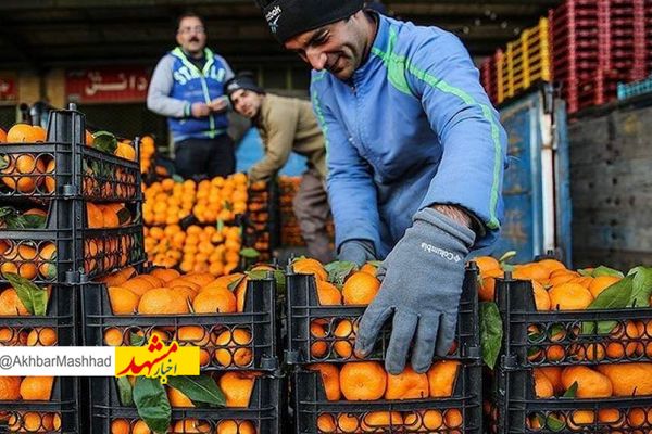 سهمیه میوه شب‌عید خراسان رضوی ۵۰۰ تن تعیین شد