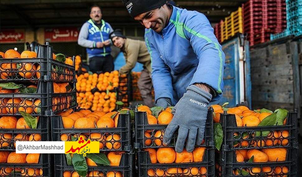 سهمیه میوه شب‌عید خراسان رضوی ۵۰۰ تن تعیین شد