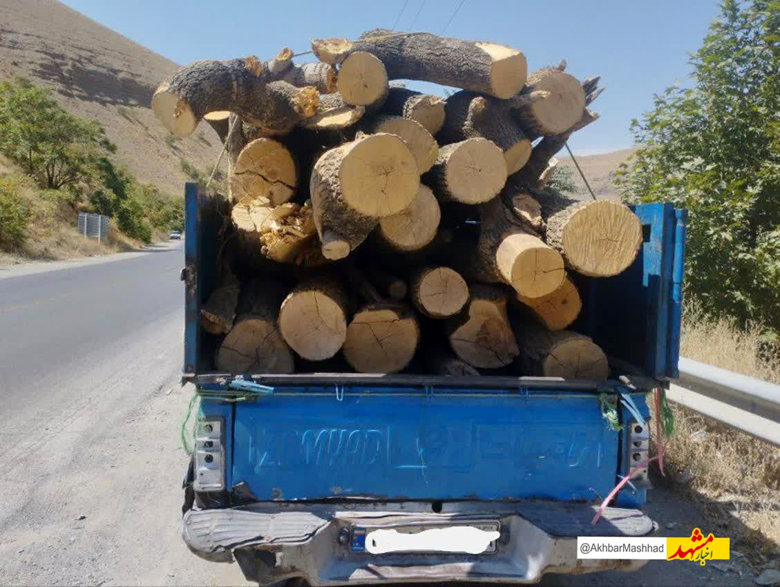 محموله ۲ تن چوب قاچاق در سبزوار کشف شد