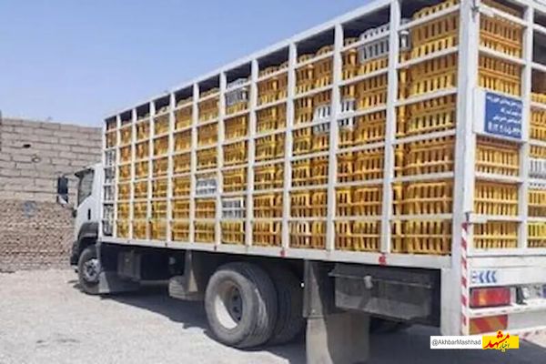 توقیف چهار تن مرغ زنده فاقد مجوز دامپزشکی در سبزوار