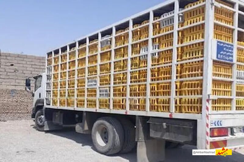توقیف چهار تن مرغ زنده فاقد مجوز دامپزشکی در سبزوار