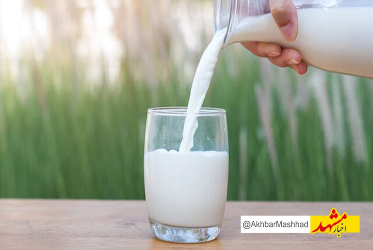 کاهش مداوم سرانه مصرف شیر در خراسان رضوی زنگ خطر جدی است