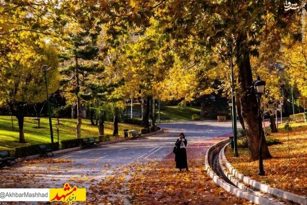 کاشت ۲۵۰ هزار گل و افزایش ۳۰ درصدی بازدیدها در جشنواره پاییز مشهد

