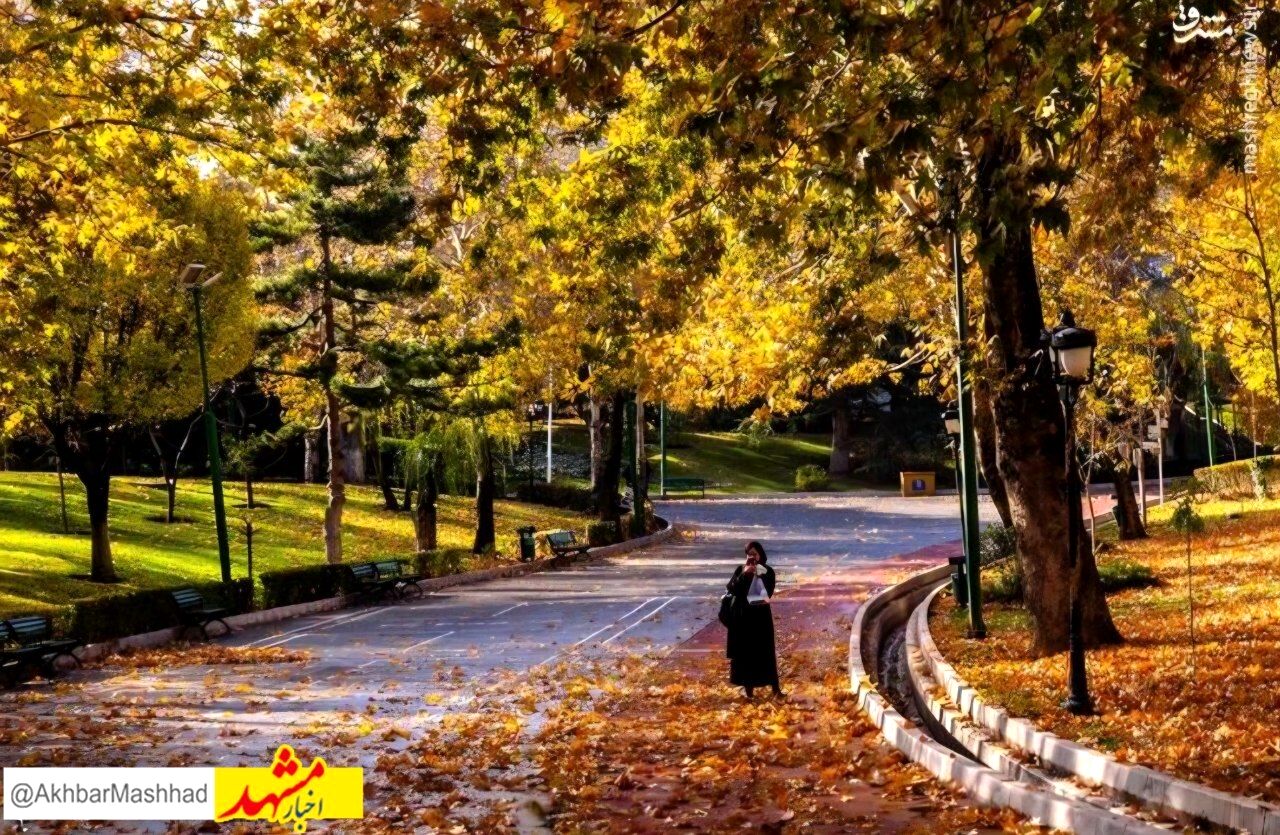 کاشت ۲۵۰ هزار گل و افزایش ۳۰ درصدی بازدیدها در جشنواره پاییز مشهد

