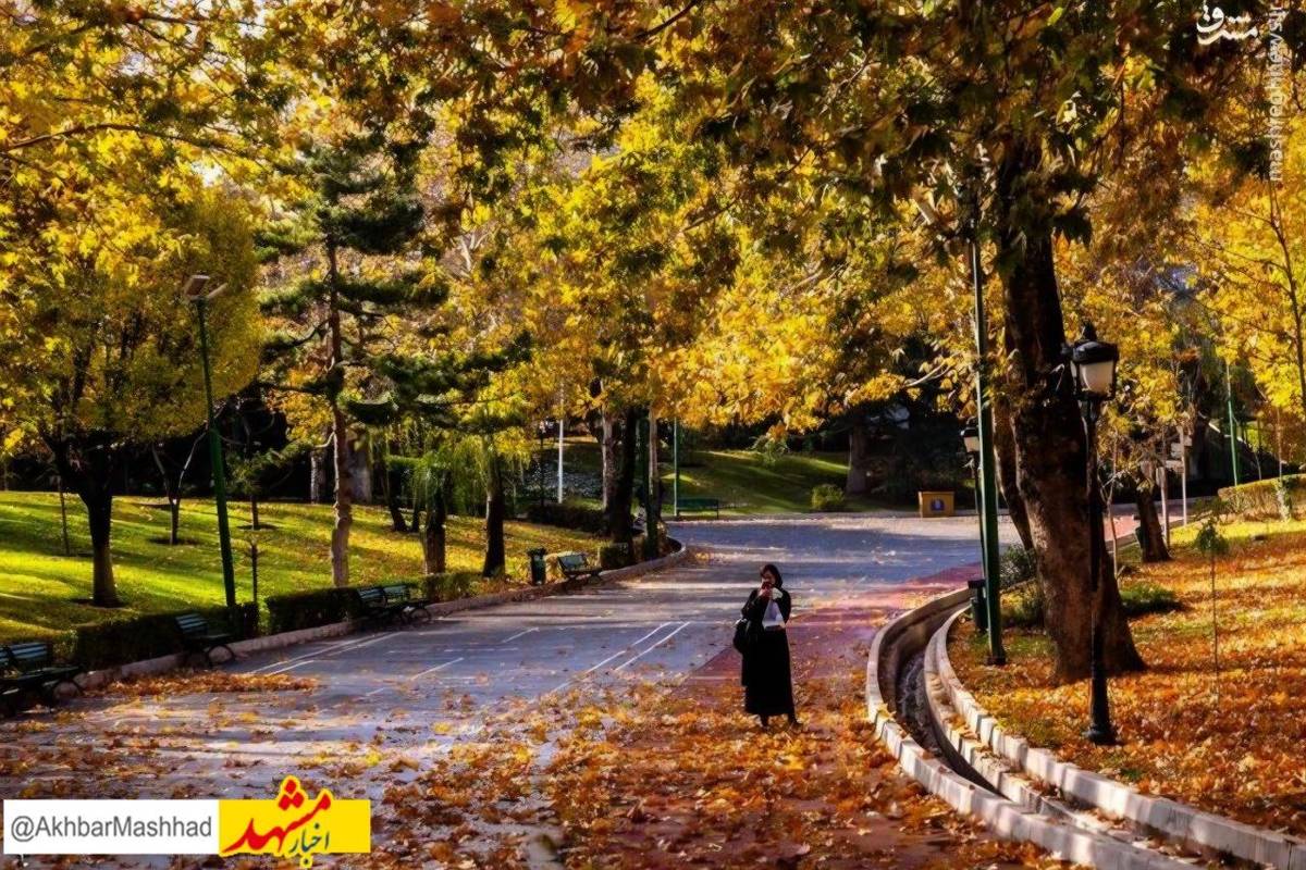 کاشت ۲۵۰ هزار گل و افزایش ۳۰ درصدی بازدیدها در جشنواره پاییز مشهد