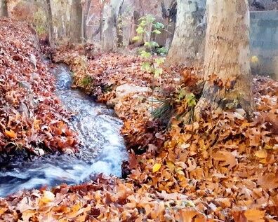 مناطق گردشگری کلات ۲ روز تعطیل شد