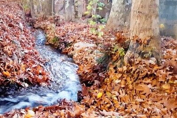 مناطق گردشگری کلات ۲ روز تعطیل شد