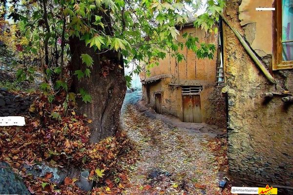 مقابله جدی با ساخت‌وسازهای غیرمجاز در طرقبه؛ گردشگری طرقبه ۲۴ ساعته است