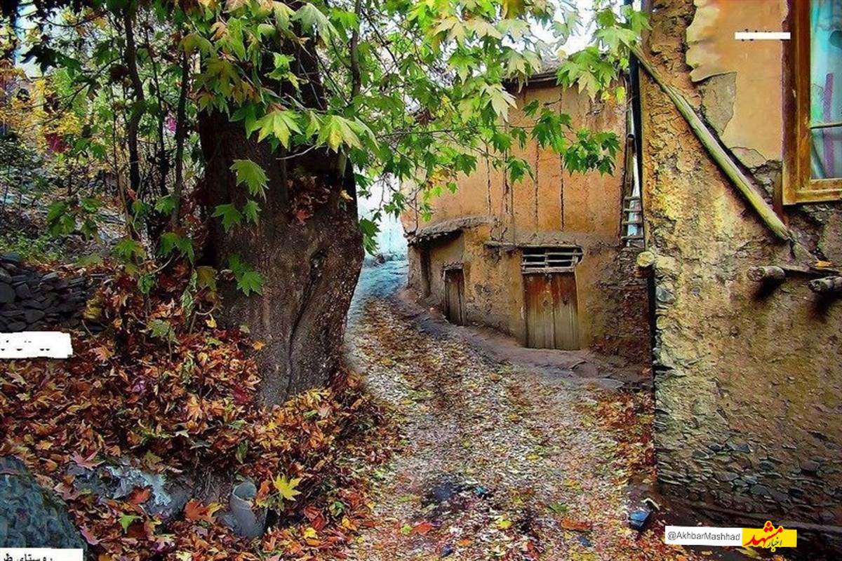 مقابله جدی با ساخت‌وسازهای غیرمجاز در طرقبه؛ گردشگری طرقبه ۲۴ ساعته است