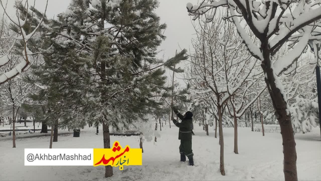 هوای کلانشهر مشهد پاک شد