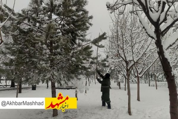 هوای کلانشهر مشهد پاک شد