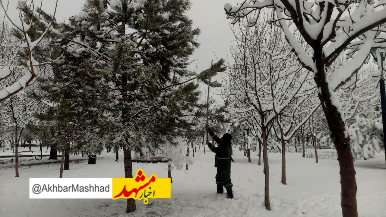 هوای کلانشهر مشهد پاک شد