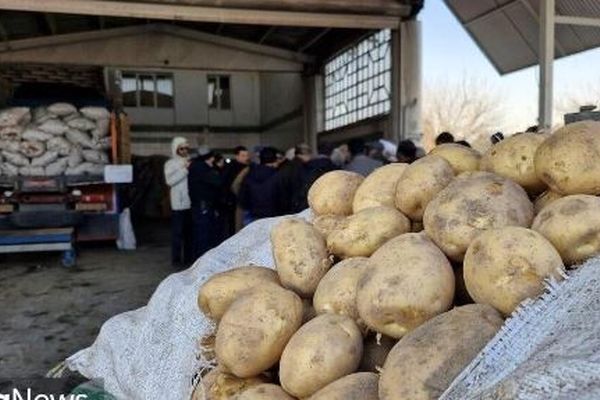 قیمت امروز میوه و تره بار در مشهد (۲۶ فروردین ۱۴۰۵) | سیب زمینی و پیاز کیلویی چند؟