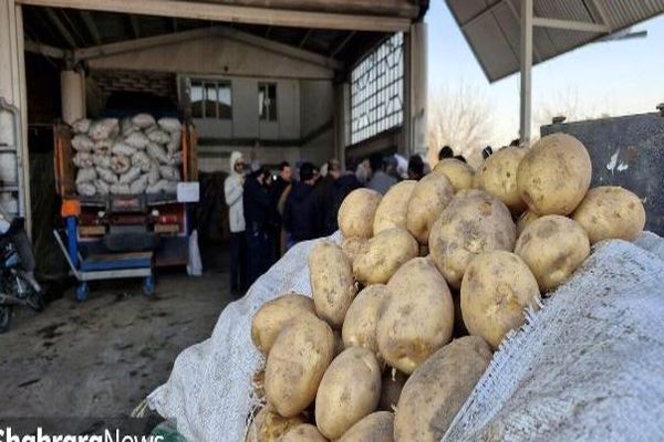 قیمت امروز میوه و تره بار در مشهد (۲۶ فروردین ۱۴۰۵) | سیب زمینی و پیاز کیلویی چند؟