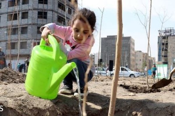 کاشت رایگان درخت مقابل منزل شهروندان مشهدی | پیش‌بینی ۳۳ هزار اصله نهال برای هفته درختکاری