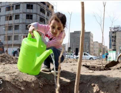 کاشت رایگان درخت مقابل منزل شهروندان مشهدی | پیش‌بینی ۳۳ هزار اصله نهال برای هفته درختکاری