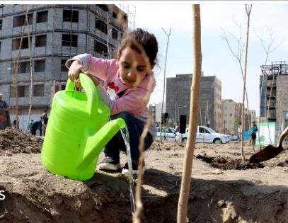 کاشت رایگان درخت مقابل منزل شهروندان مشهدی | پیش‌بینی ۳۳ هزار اصله نهال برای هفته درختکاری