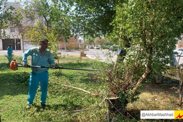 آبیاری 60 درصد از فضای سبز مشهد با پساب شهری