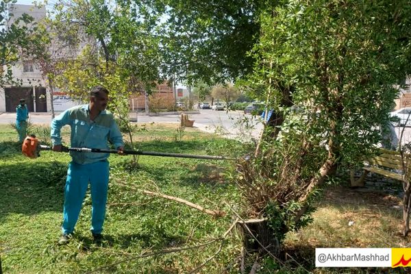 آبیاری 60 درصد از فضای سبز مشهد با پساب شهری