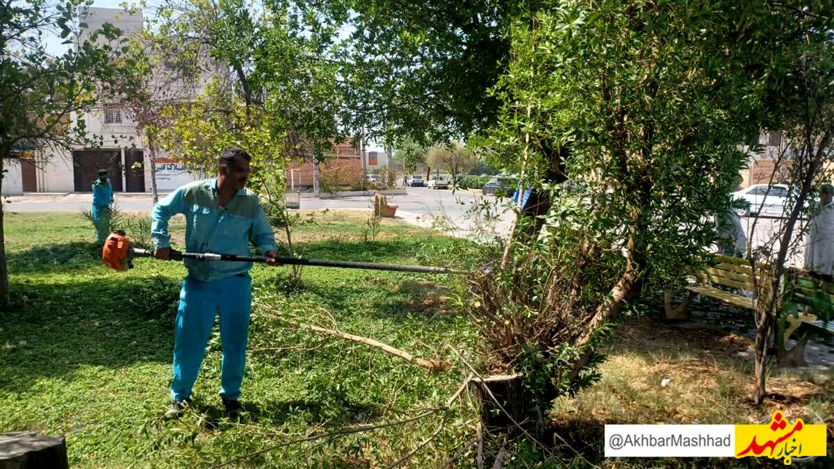 آبیاری 60 درصد از فضای سبز مشهد با پساب شهری