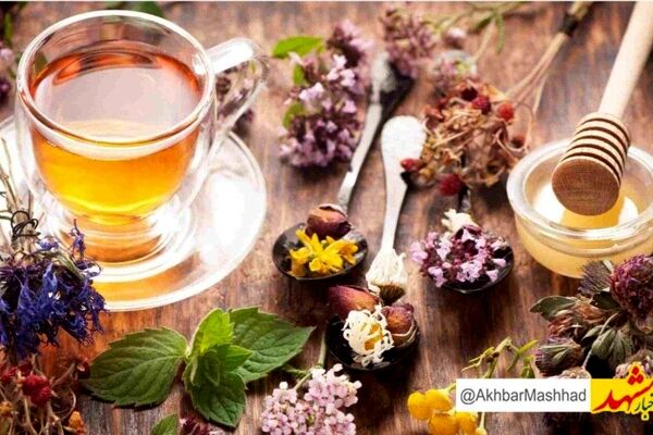 مصرف غذاهای فرآوری‌شده در هوای آلوده، بار سمی بدن را افزایش می‌دهد/  نسخه طب سنتی برای روزهای خاکستری مشهد؛ از خوراک سبک تا دفع سموم بدن