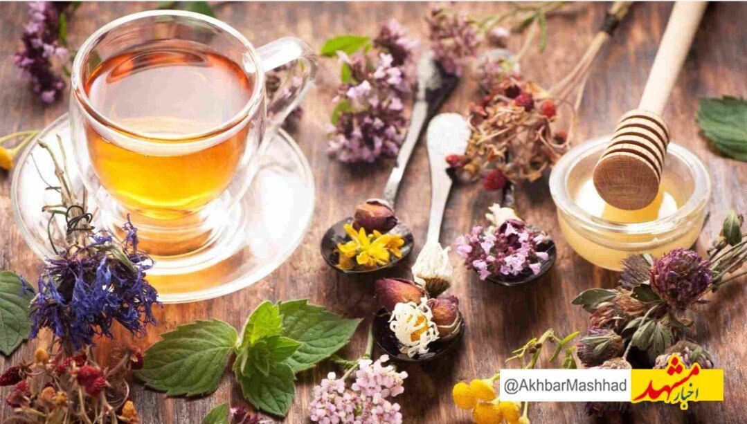 مصرف غذاهای فرآوری‌شده در هوای آلوده، بار سمی بدن را افزایش می‌دهد/  نسخه طب سنتی برای روزهای خاکستری مشهد؛ از خوراک سبک تا دفع سموم بدن